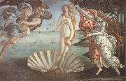 Sandro Botticelli The birth of Venus oil painting on canvas